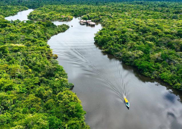 peru, amazonie, řeka z výšky