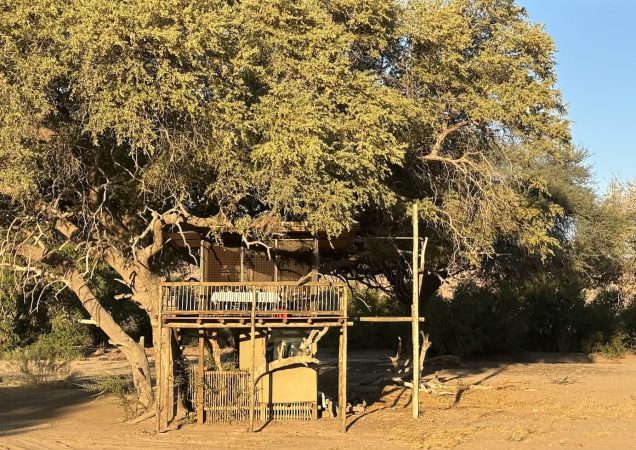 glamping namibie, bydlení ve stromech, safari namibie